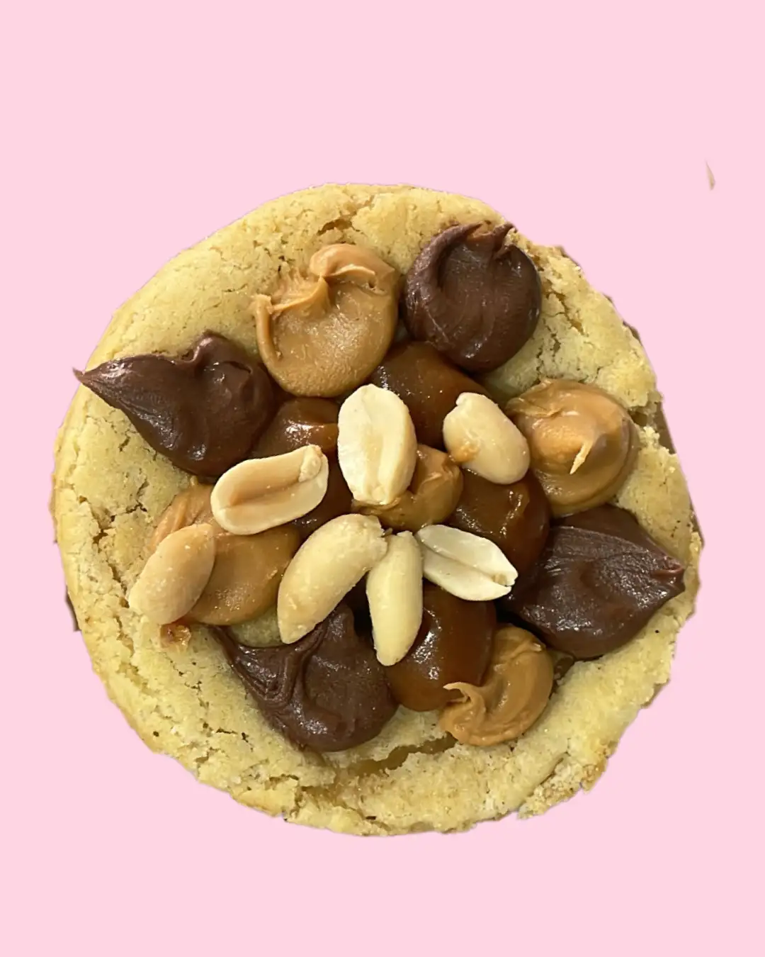 Cookie Gourmand SNICKERS